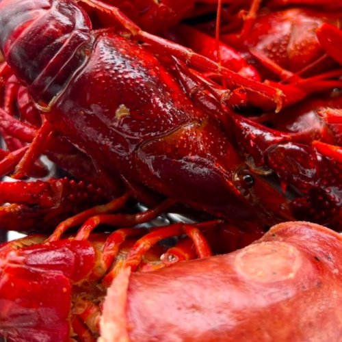 Crawfish